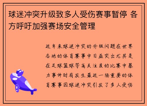 球迷冲突升级致多人受伤赛事暂停 各方呼吁加强赛场安全管理